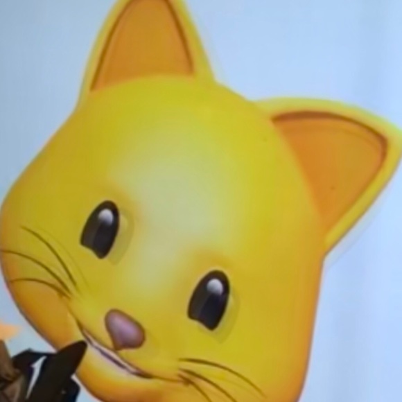 Meet your Posher, Jane - Picture 2 of 8